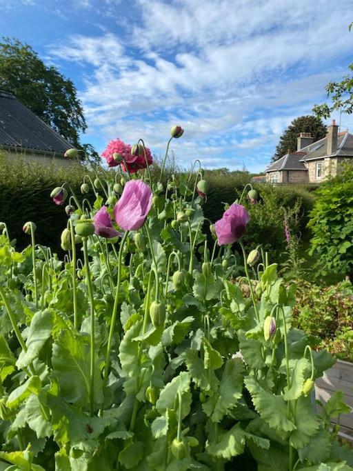 Glenburn, Private Studio Accommodation In Fochabers Extérieur photo